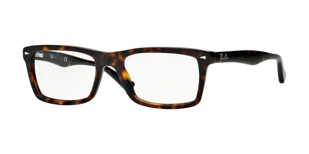 Ray-Ban 5287 Eyeglasses - view 10